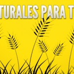 Bordes naturales en PNG