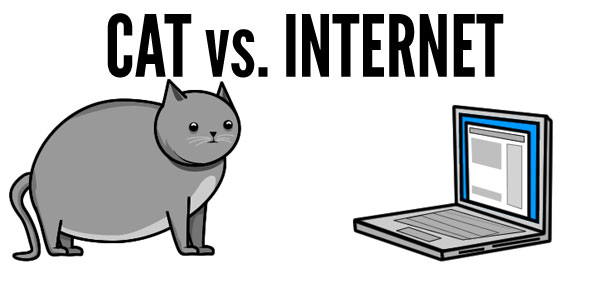 cat internet